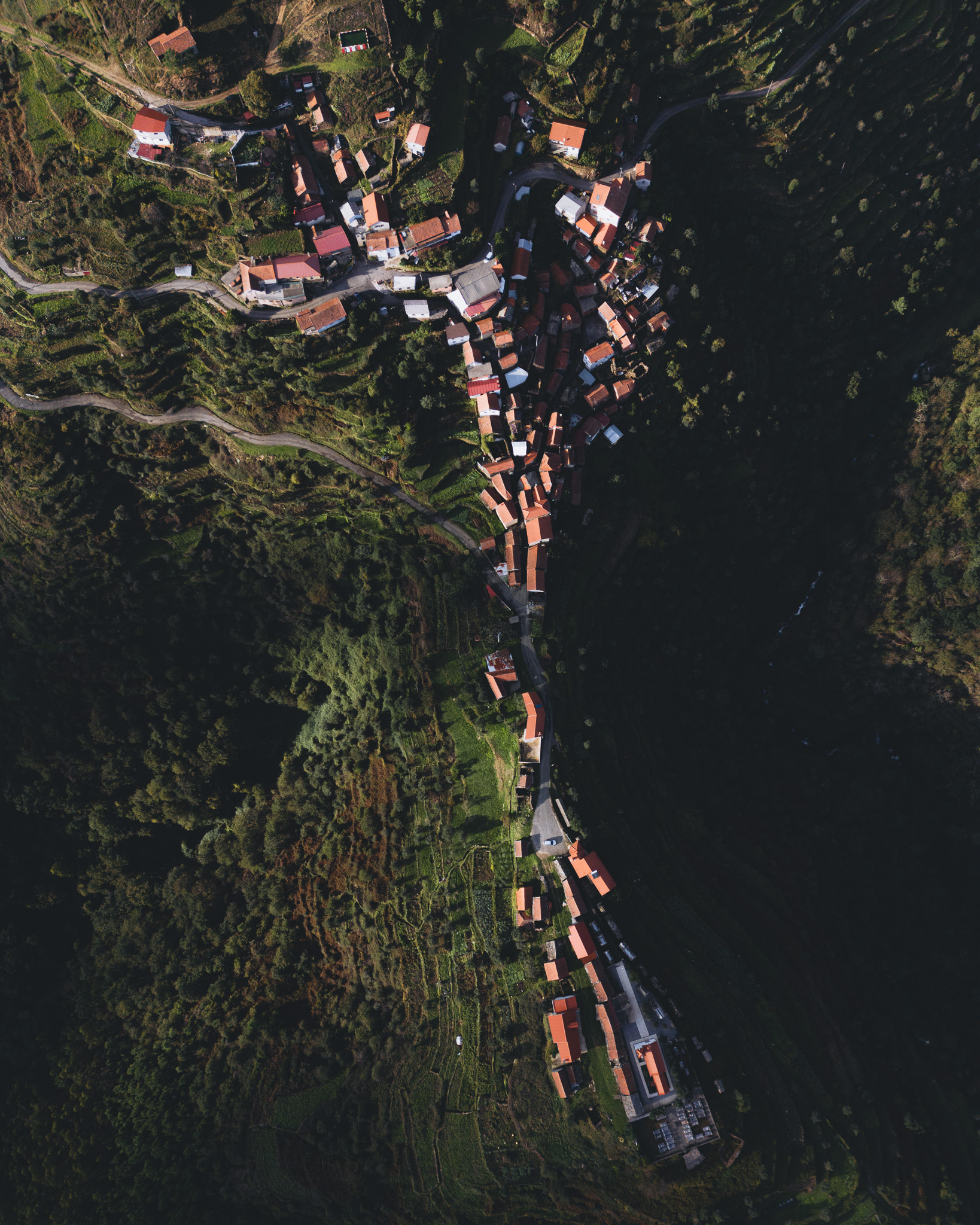 DJI_0307