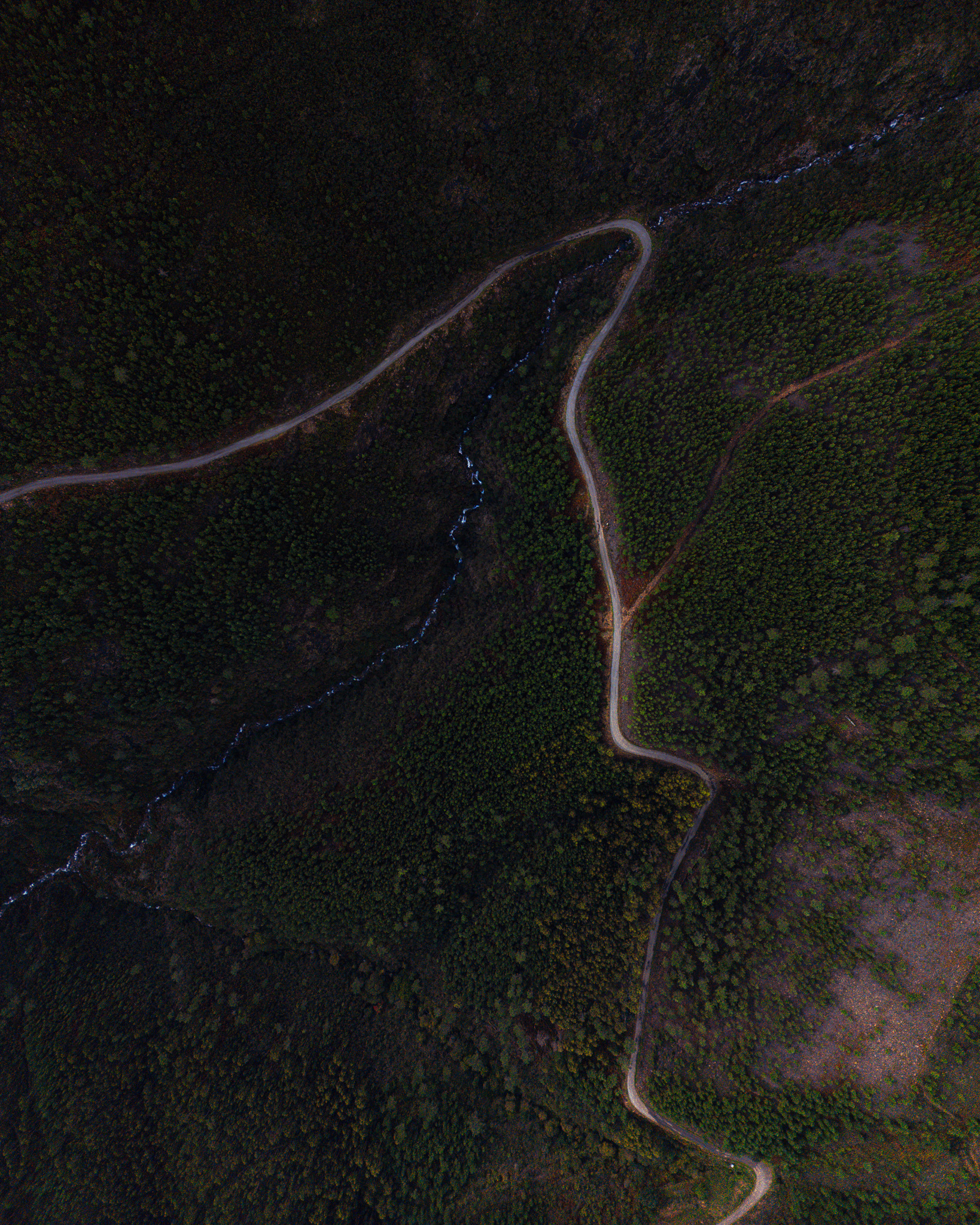 DJI_0311