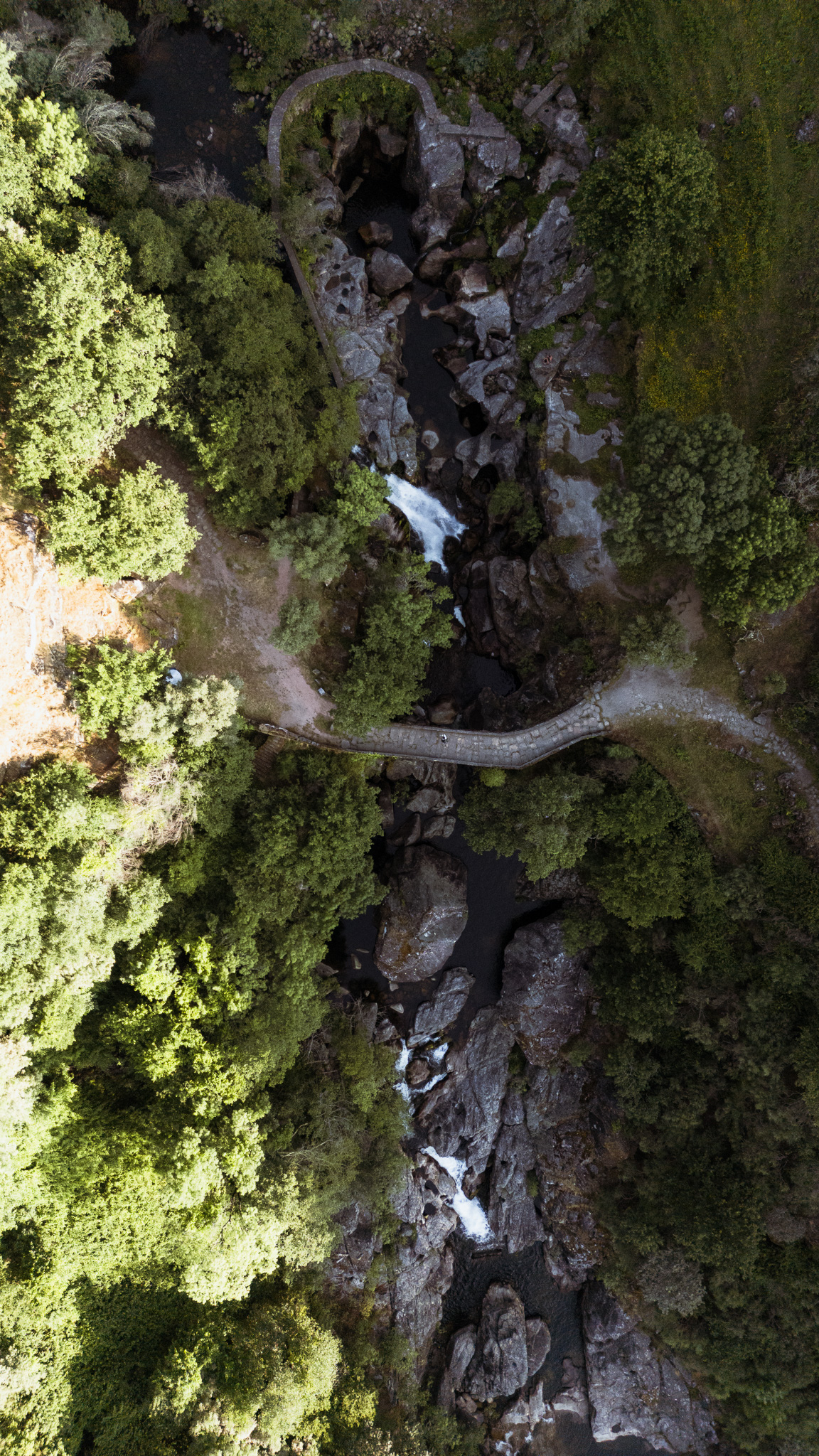 DJI_0372